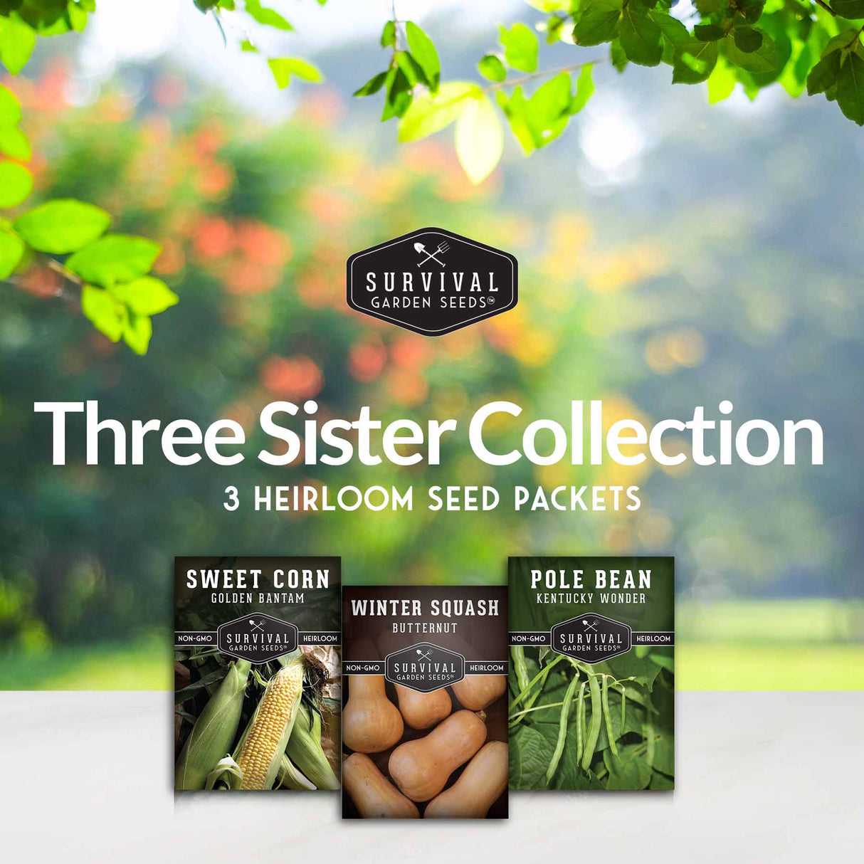 Three Sisters Seed Collection