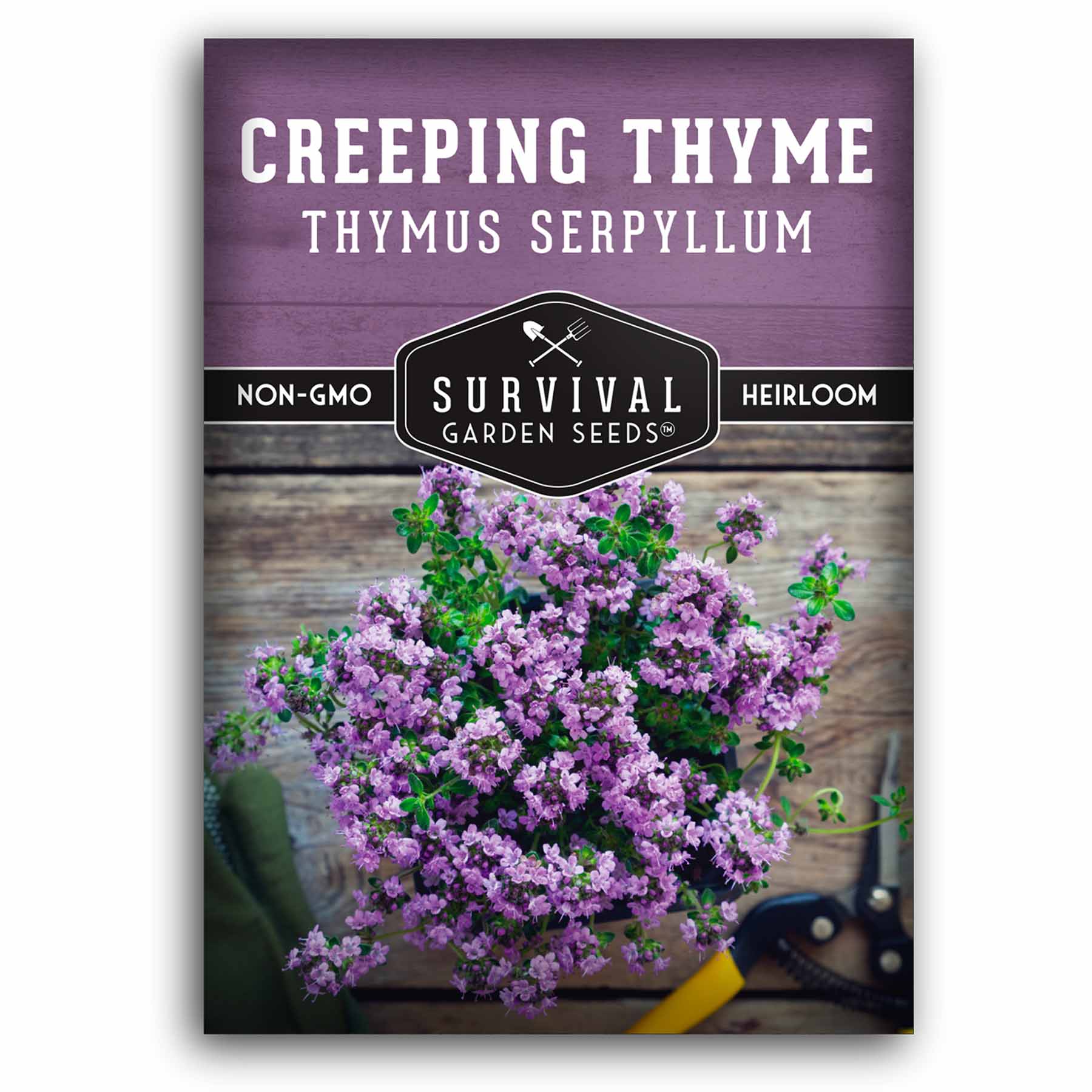 1 packet of Creeping Thyme seeds