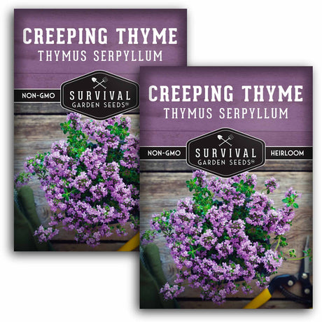 2 packets of Creeping Thyme seeds