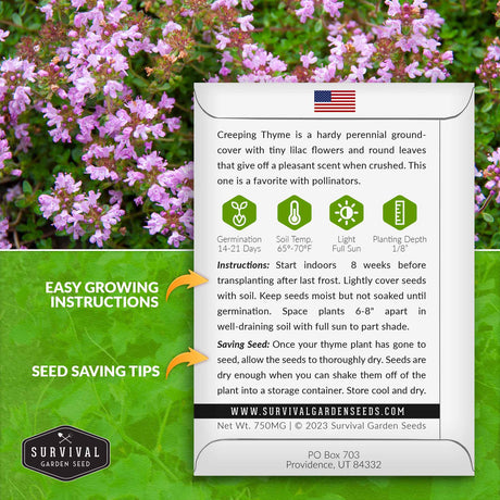 Creeping Thyme seed growing instructions