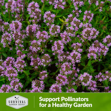 support pollinators for a healthy garden