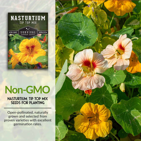 Non-GMO flower seeds