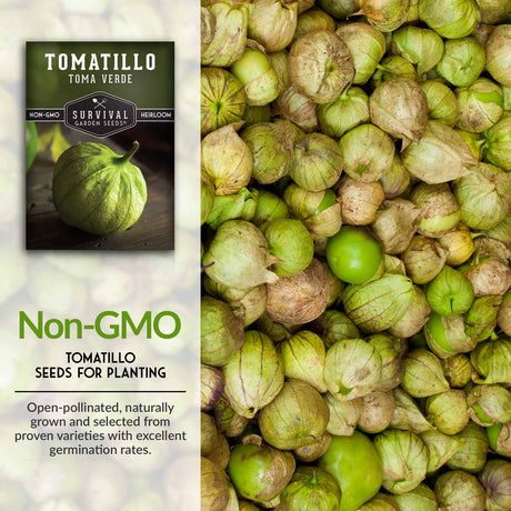 Non-GMO tomatillo seeds