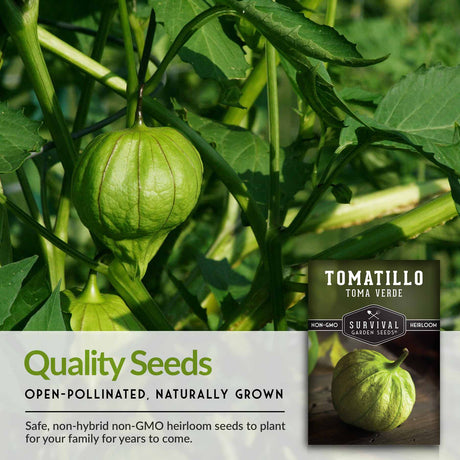 Quality seeds