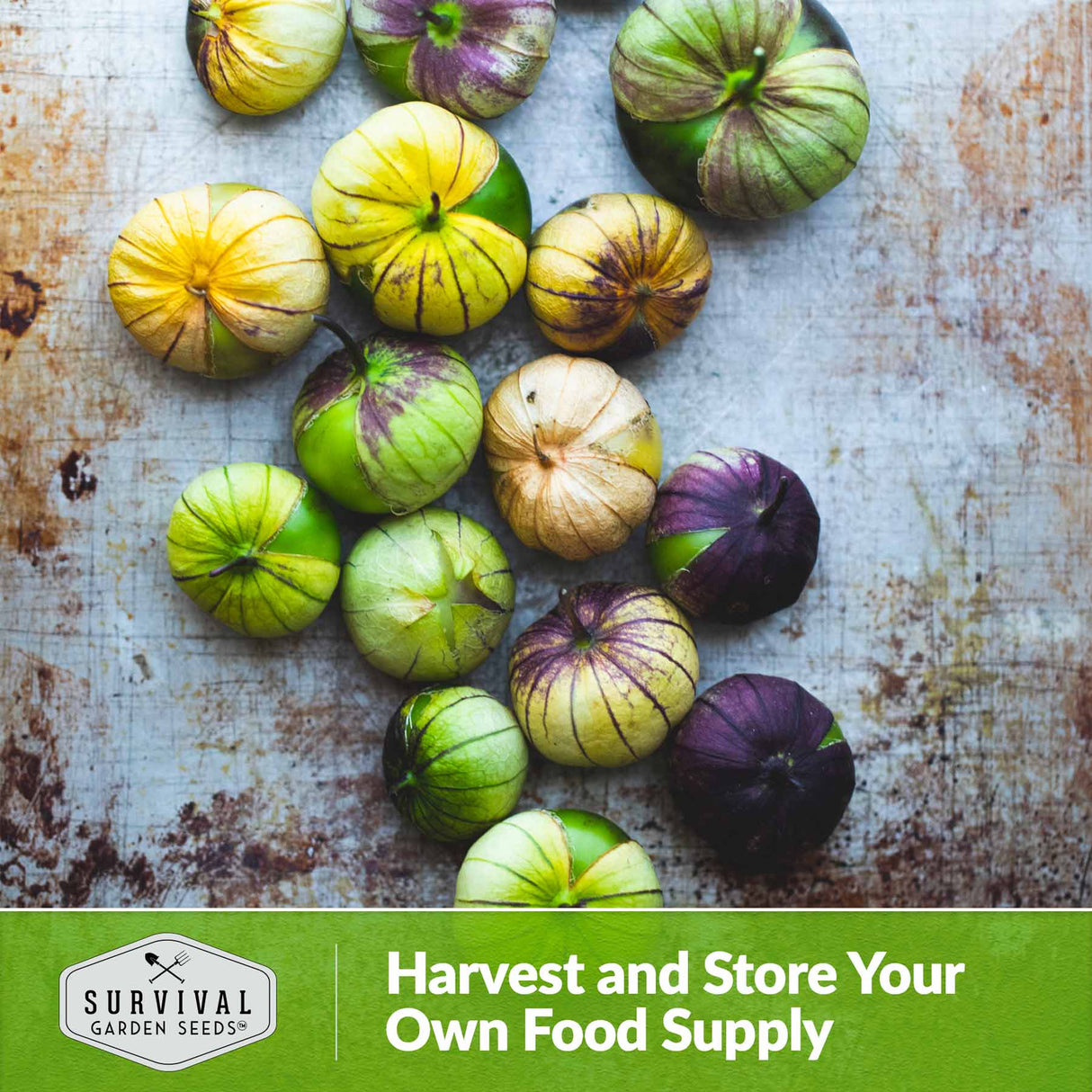 Harvest and store your own food supply