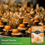 Ground Cherries