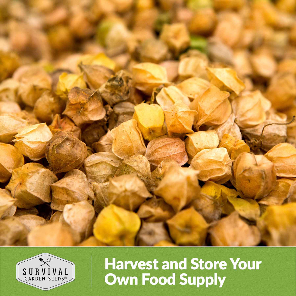 Harvest and store your own food supply