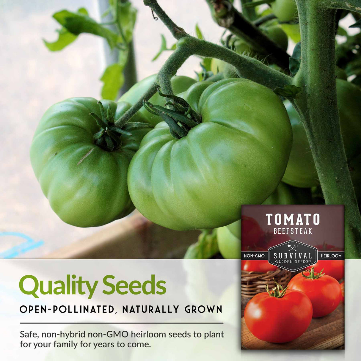 Quality seeds