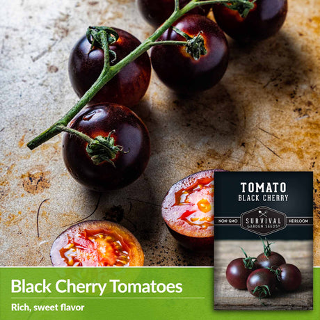 Black Cherry Tomatoes