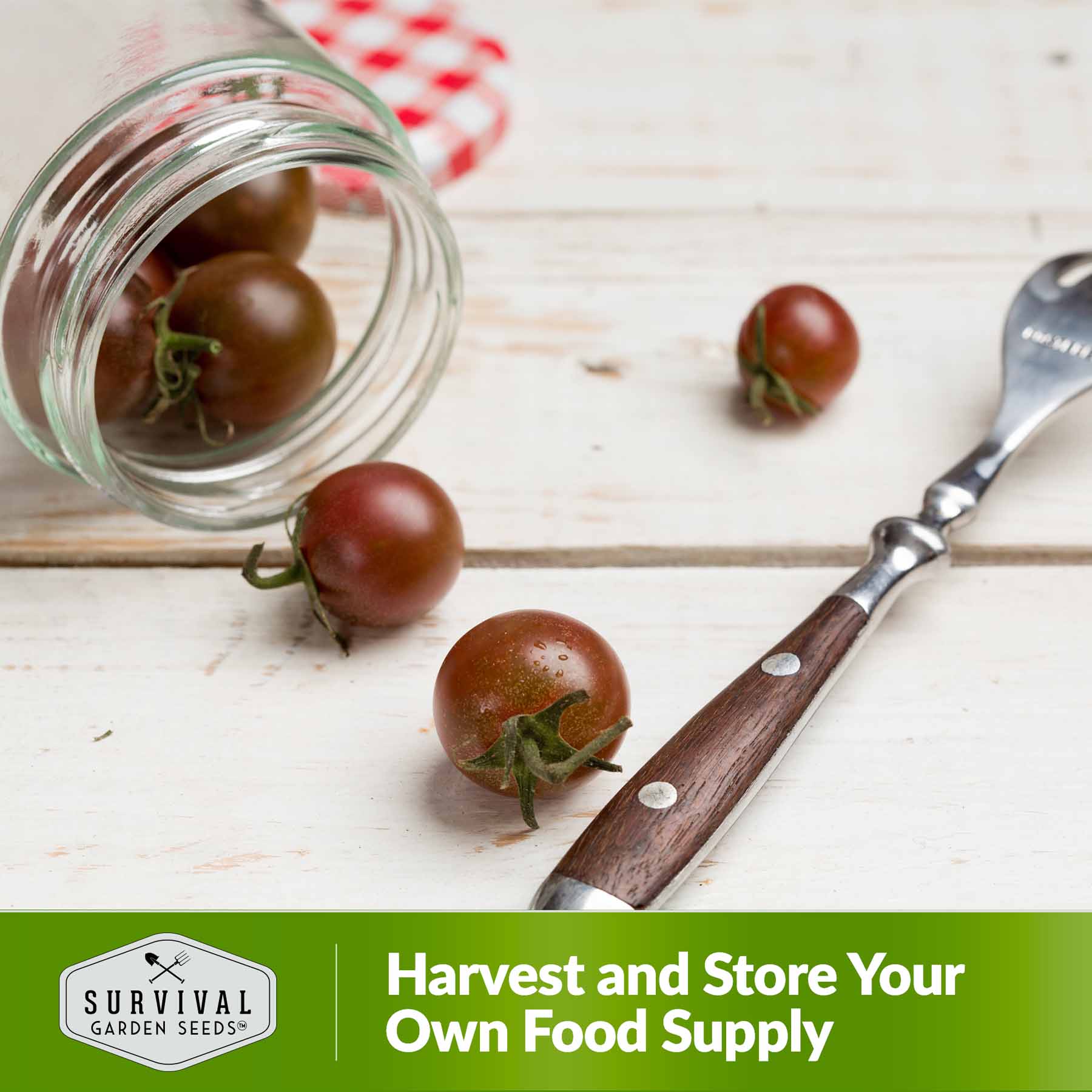 Black Cherry Tomato – Heirloom Cherry Seeds – SurvivalGardenSeeds