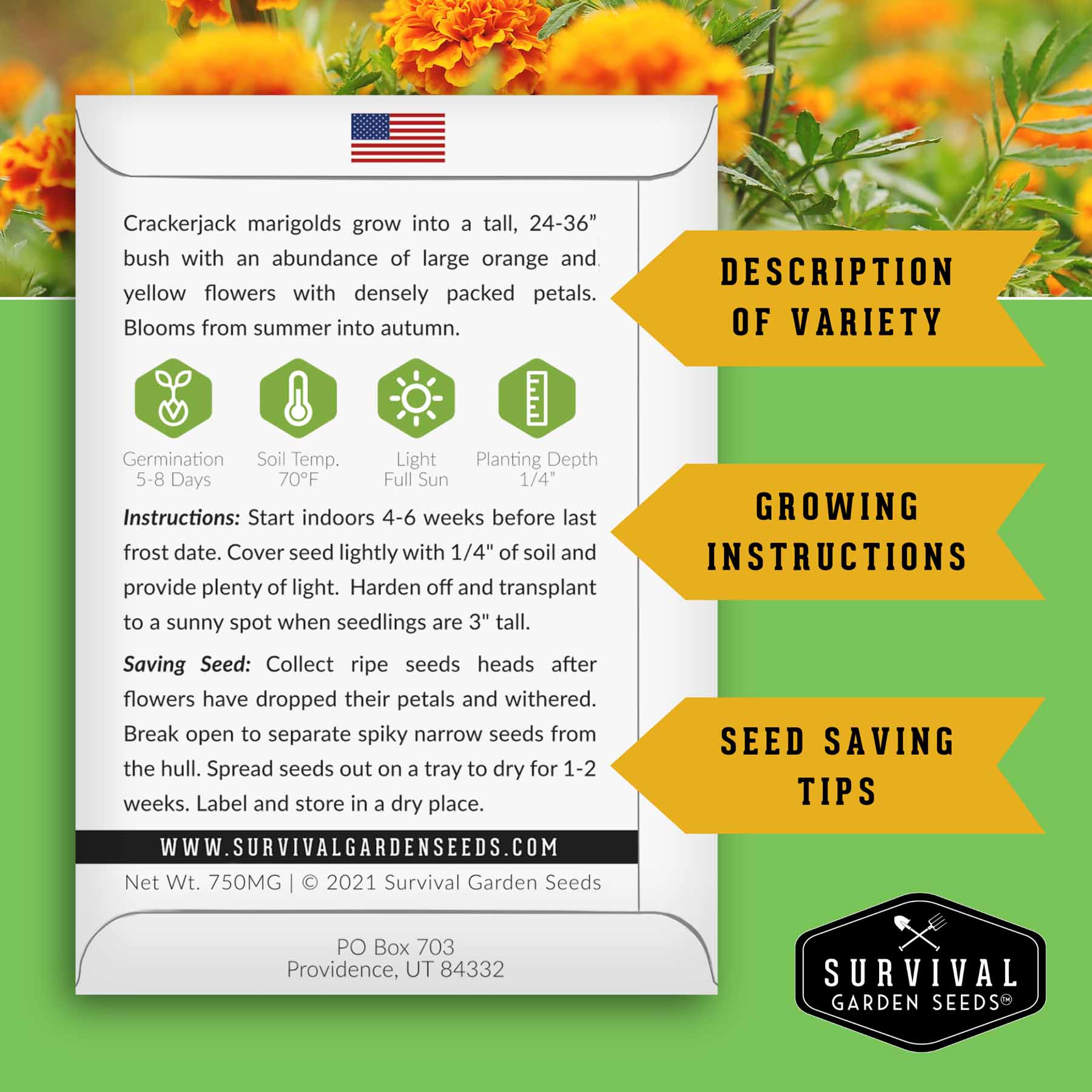Tomato Companion Plant Seed Collection – SurvivalGardenSeeds