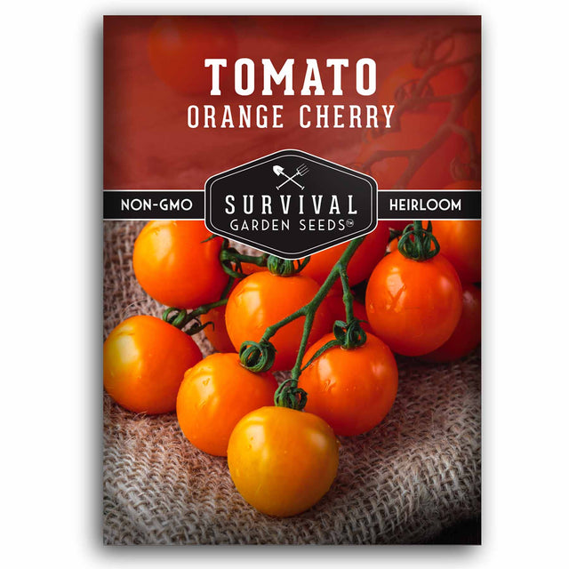 1 packet of Orange Cherry Tomato seeds