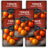 5 packets of Orange Cherry Tomato seeds