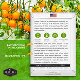 Orange Cherry Tomato growing instructions