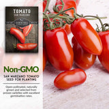 Non-GMO tomato seeds