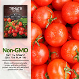 Non-GMO tomato seeds