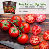 Tiny tomato, big taste