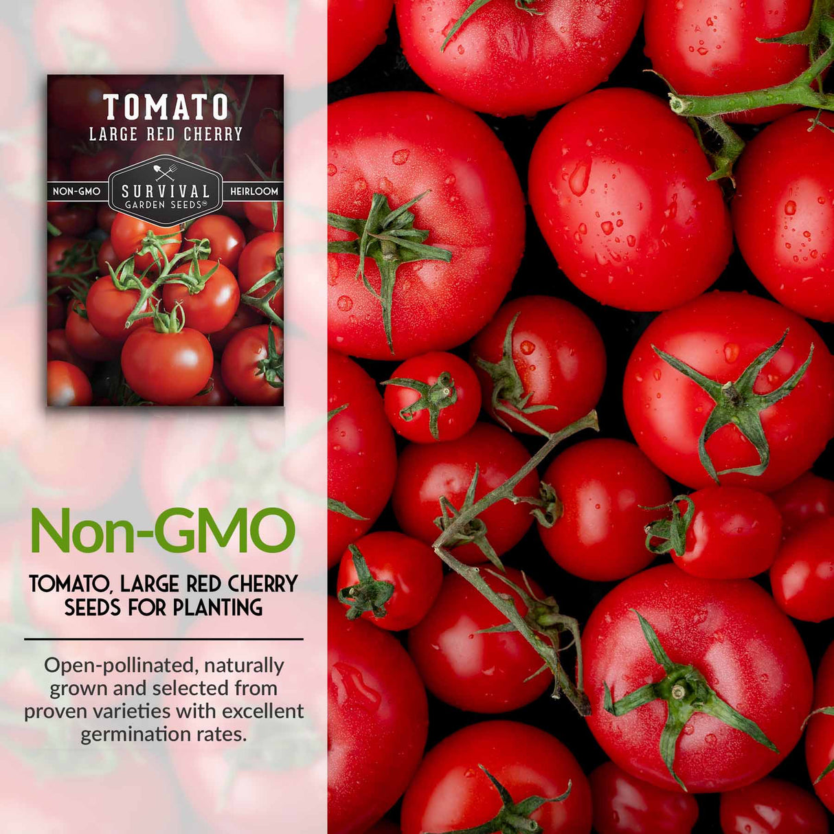 Non-GMO cherry tomato seeds