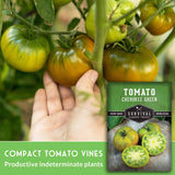 Cherokee Green Tomato Seeds - Green Beefsteak Heirloom