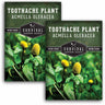 2 packets of Toothache Plant seeds