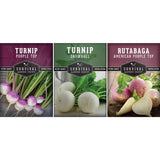 Turnip seed collection