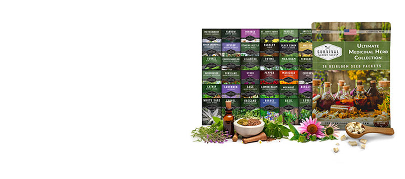 Ultimate Medicinal Herb seed kit - 36 packets of medicinal herb seeds