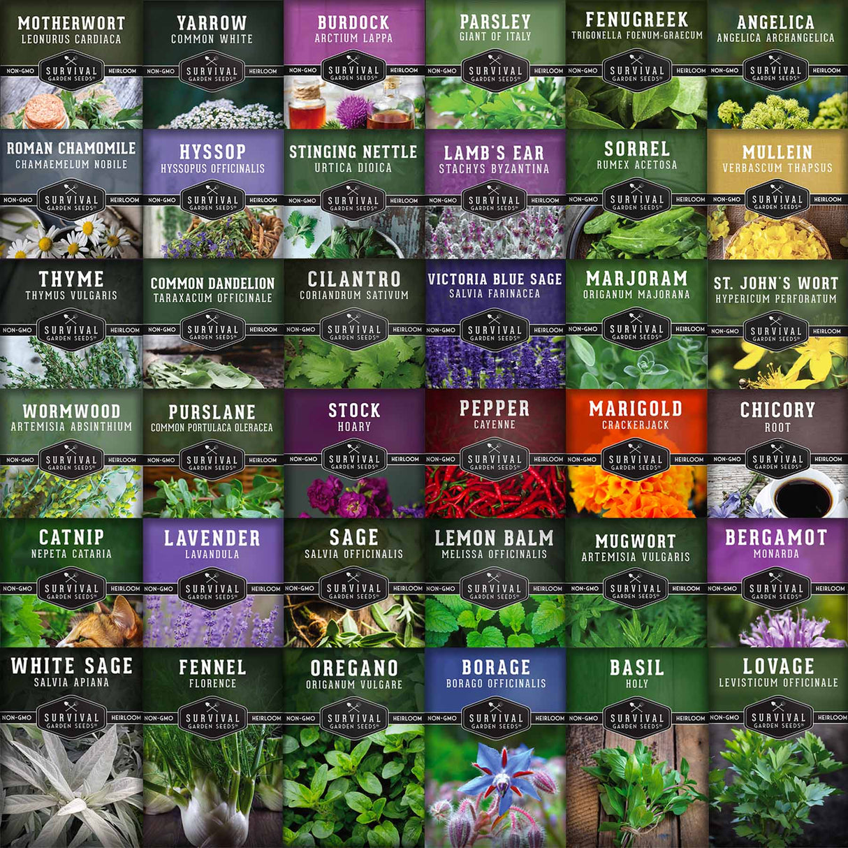 36 Packets of Medicinal Herbs
