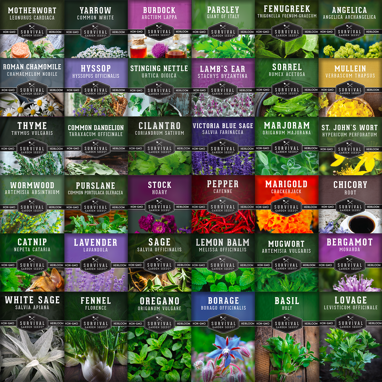 Ultimate Medicinal Herb Collection - 36 Medicinal Herbs