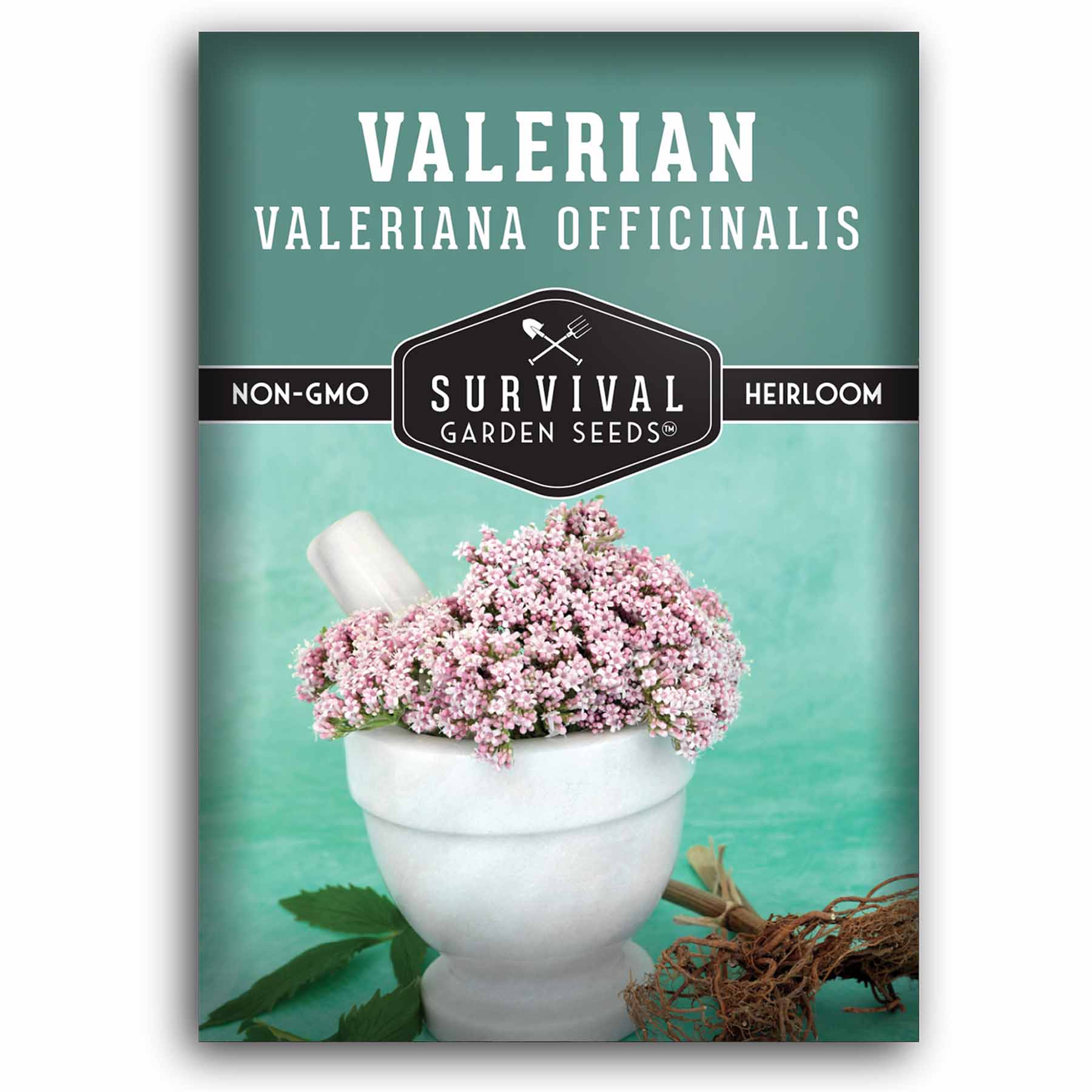VALERIAN パンフレット Valerian Seeds – Perennial Herbal Plant – SurvivalGardenSeeds