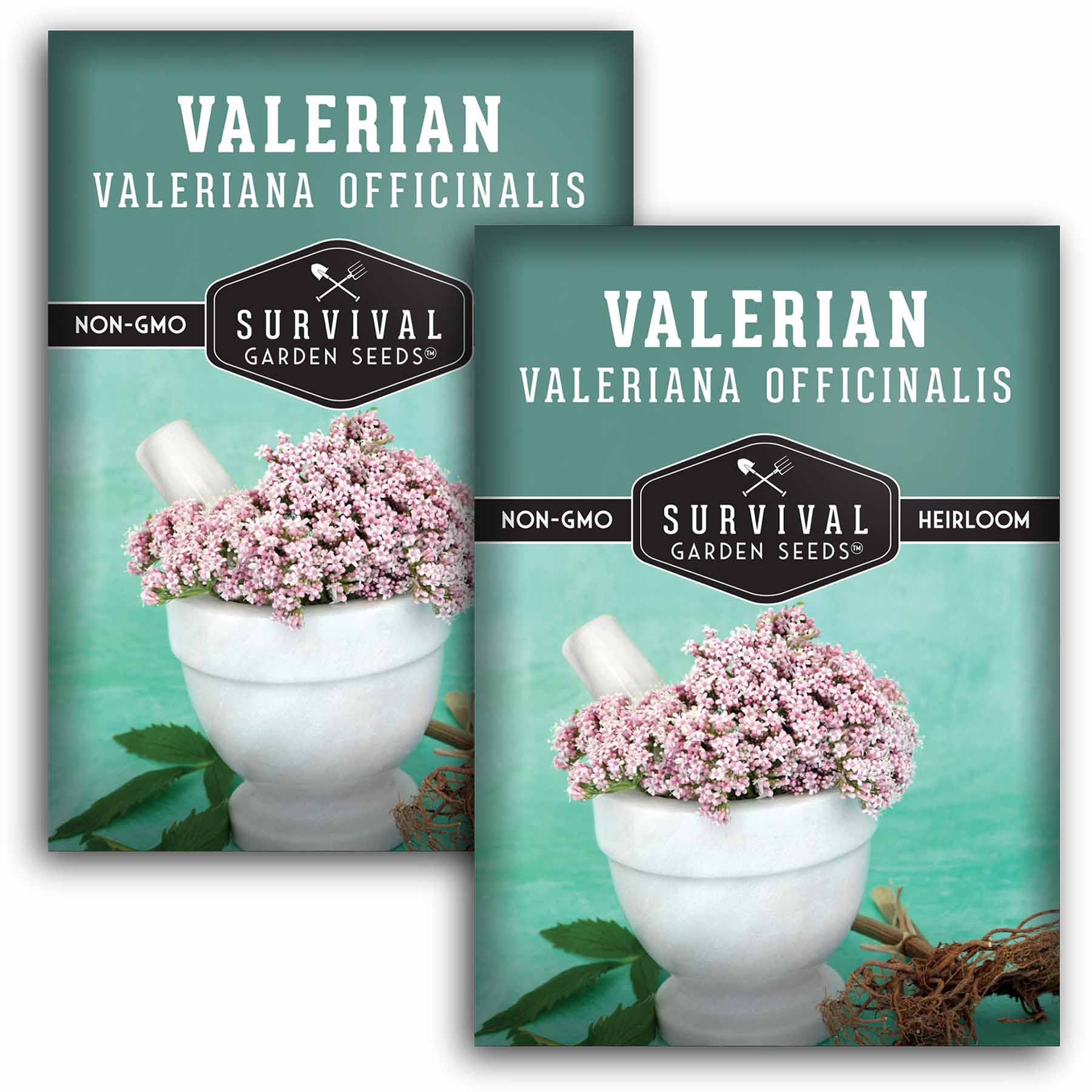 Valerian Seeds – SurvivalGardenSeeds