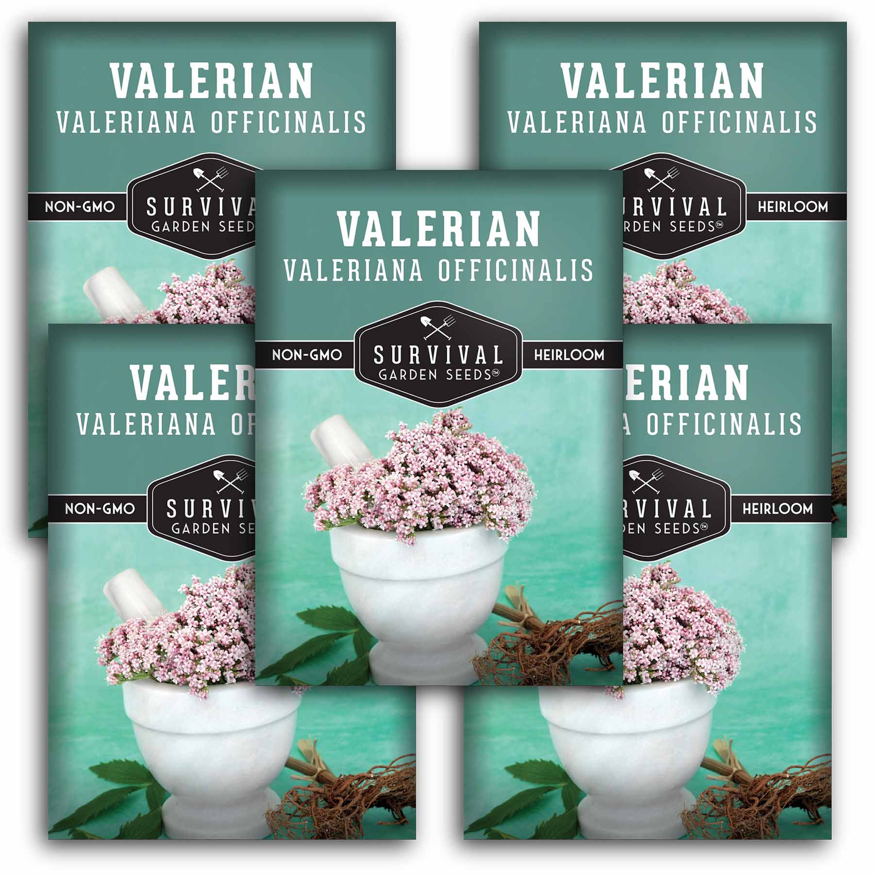 VALERIAN パンフレット Valerian Seeds – Perennial Herbal Plant – SurvivalGardenSeeds