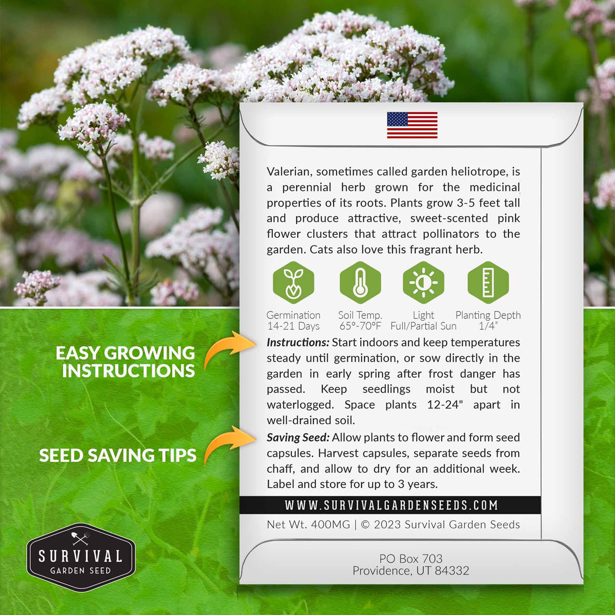 Valerian seed growing instructions