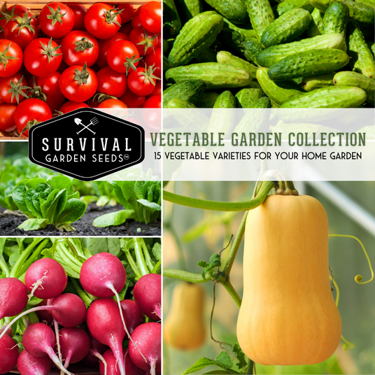 Vegetable Garden Seed Collection -15 Vegetable varieties for your home garden