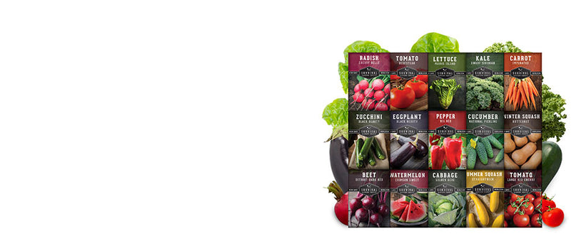 15 Vegetable Kit - 15 packets of heirloom vegetable seeds