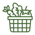Vegetable Seed Collection Icon