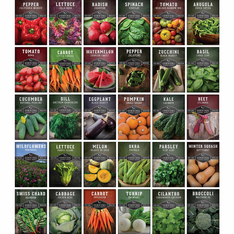 A 6x5 grid of 30 seed packet illustrations for various vegetables and herbs, including pepper, lettuce, radish, spinach, tomato, arugula, carrot, watermelon, zucchini, basil, cucumber, dill, eggplant, pumpkin, kale, wildflowers, melon, okra, parsley, winter squash, Swiss chard, cabbage, turnip, cilantro, and broccoli. Each packet shows a colorful photo of the produce and a dark label with the plant name and 'SUNRISE SEED CO.