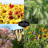 A four-panel collage of wildflowers and a butterfly, with a central black hexagonal logo reading “SURVIVAL GARDEN SEEDS.” The panels show yellow flowers, green grasses, pink-purple blossoms, and a yellow-and-black butterfly.