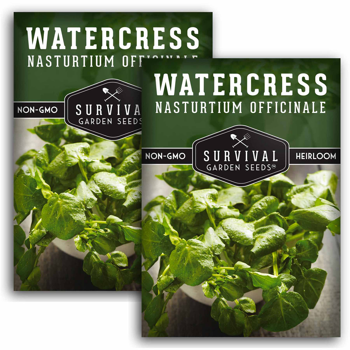 2 packets of Watercress seeds