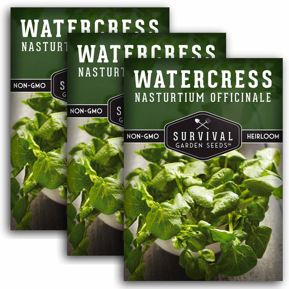 3 packets of Watercress seeds