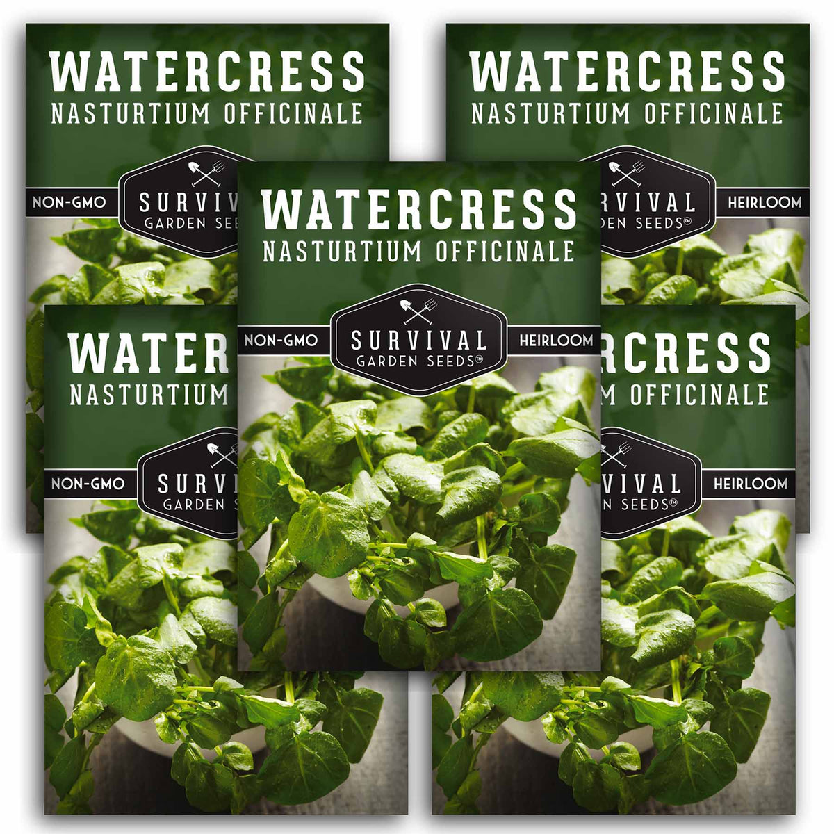 5 packets of Watercress seeds