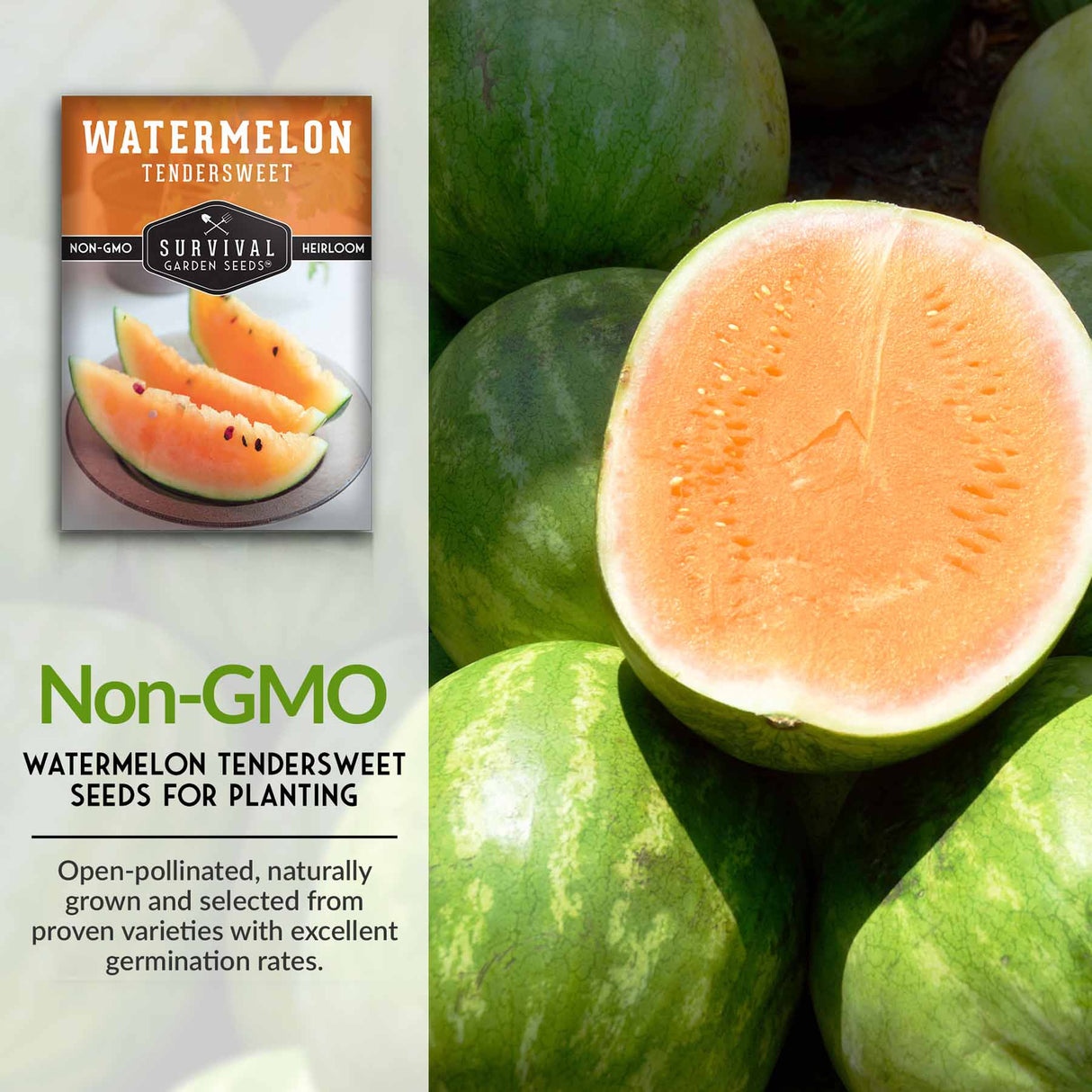 Non-GMO watermelon seeds