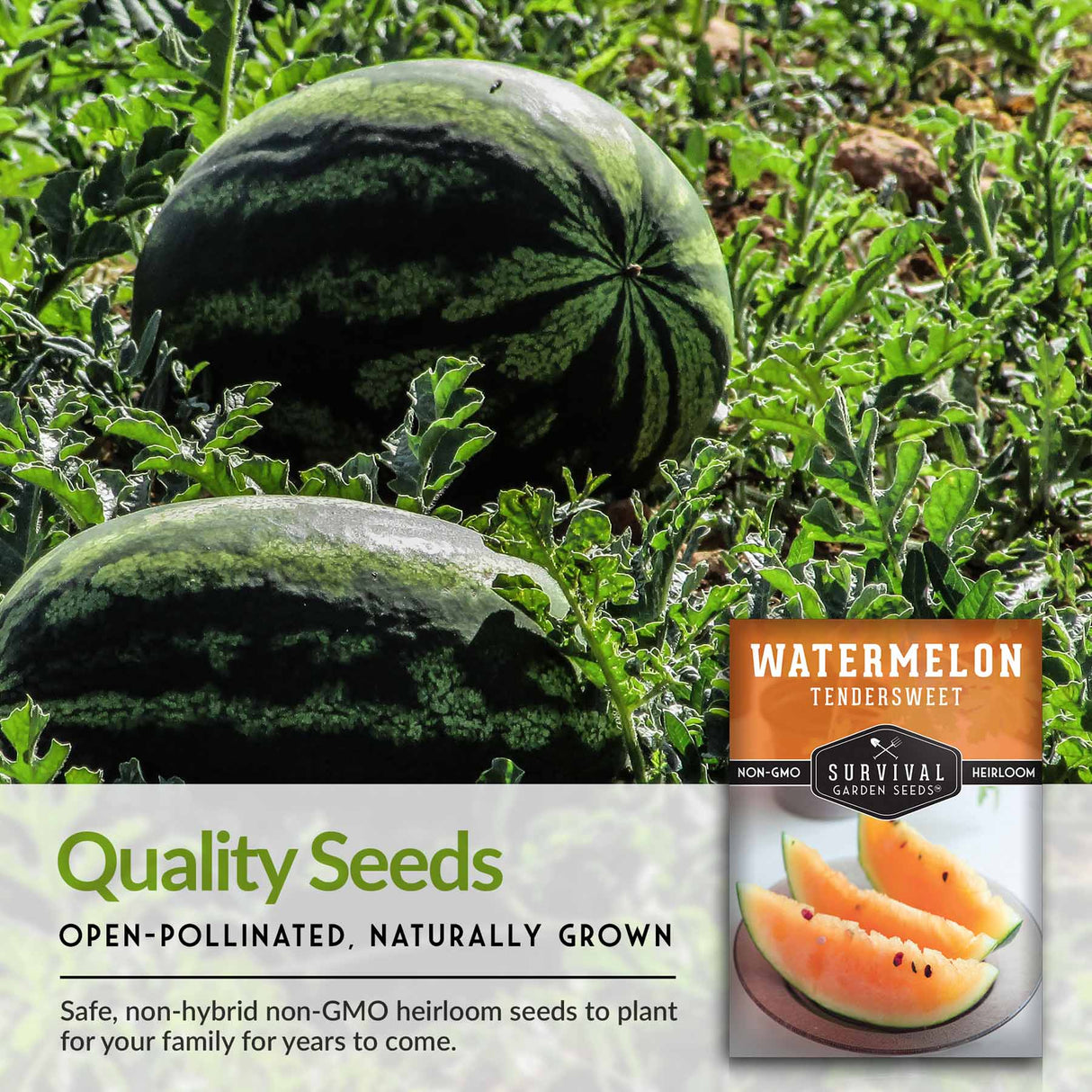 Quality seeds