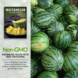 Non-GMO watermelon seeds