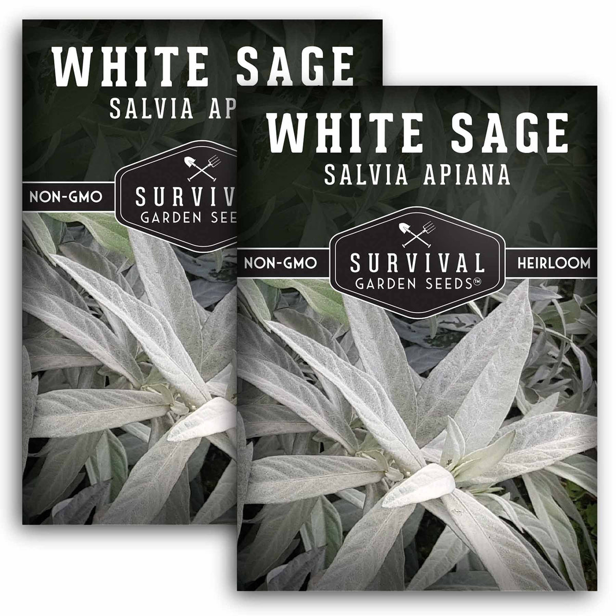2 packets of White Sage Seeds