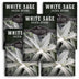 5 packets of White Sage Seeds