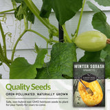 Quality seeds