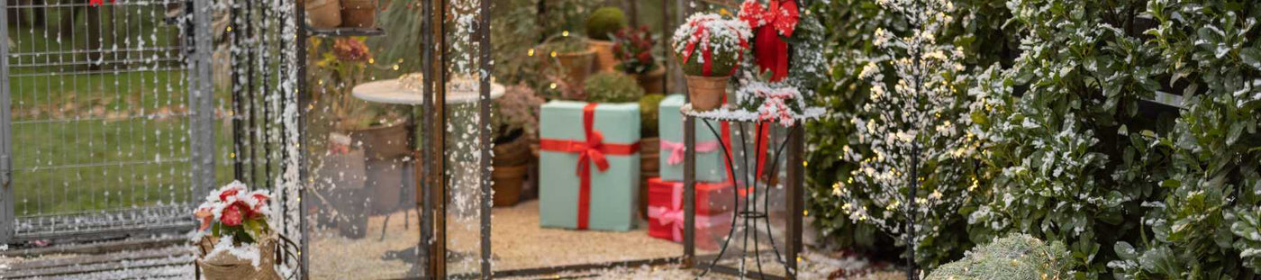 Decorative outdoor setting with gift boxes, flowers, and a metal gate.