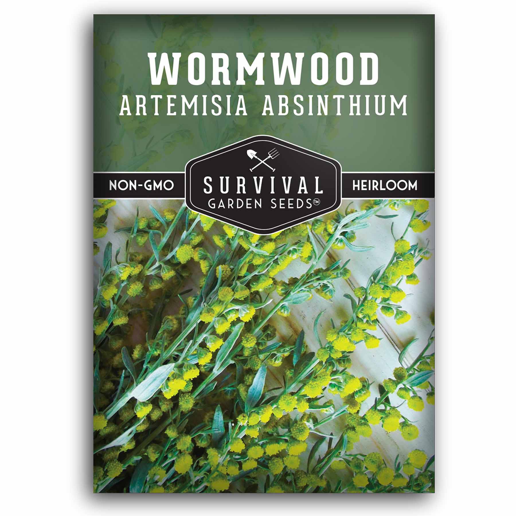 Wormwood Seeds