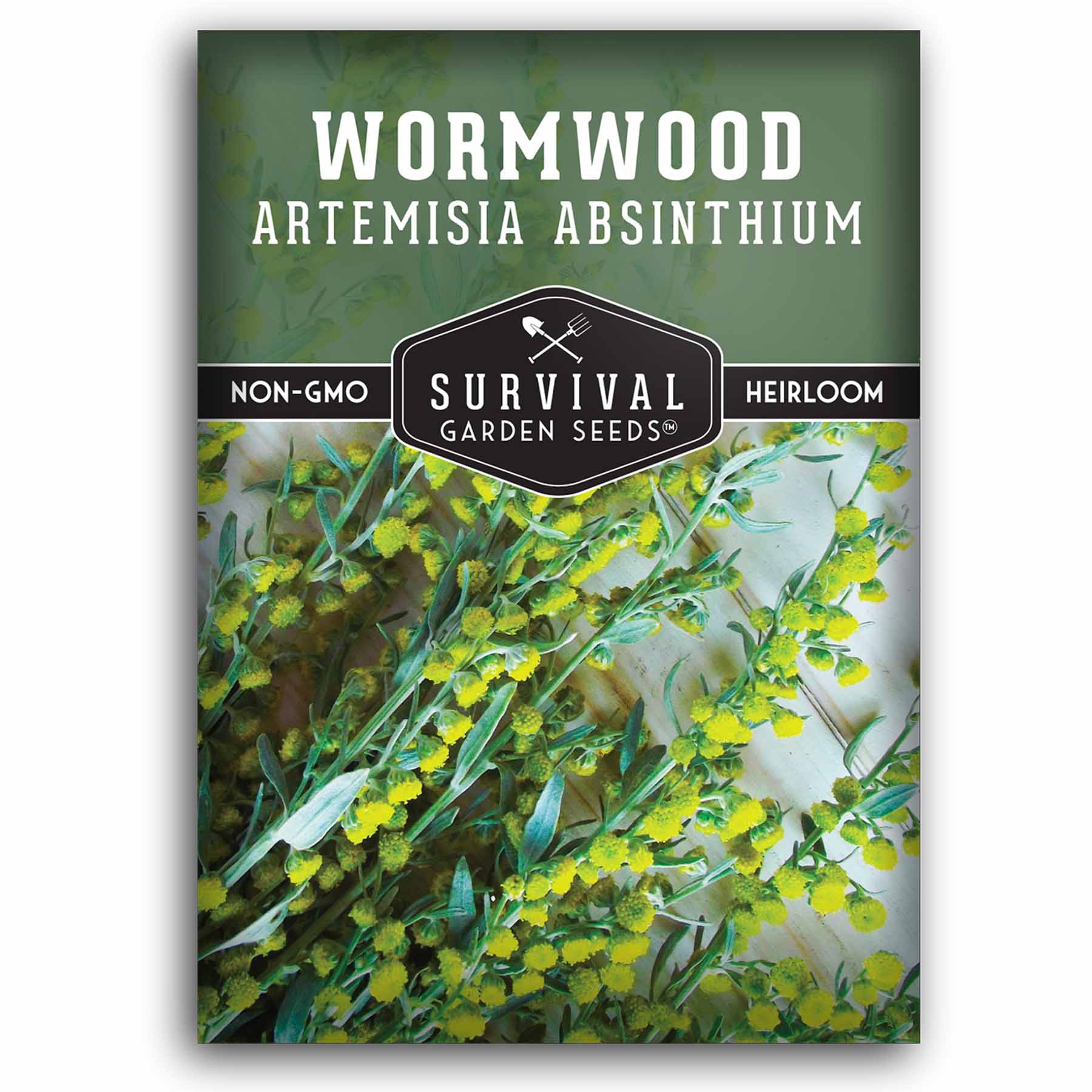1 packet of Wormwood seeds