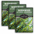 3 packets of Wormwood seeds